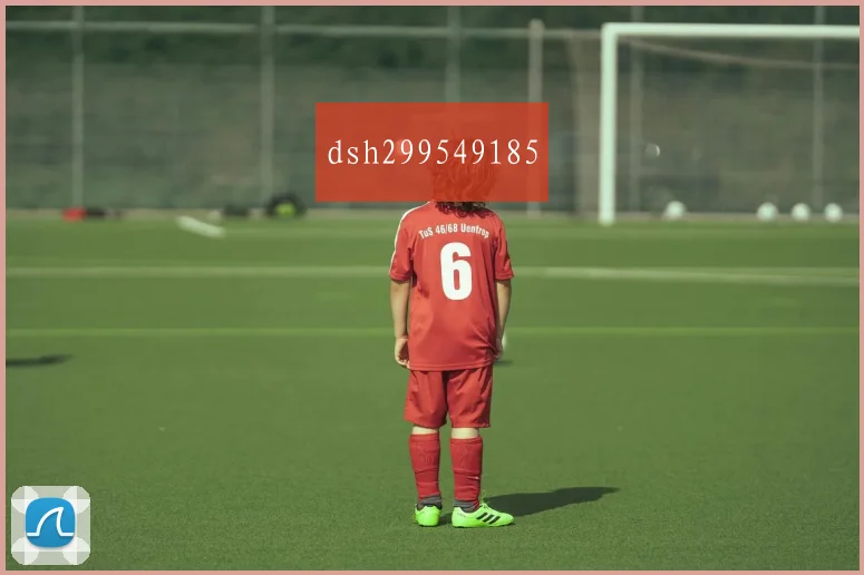 dsh299549185