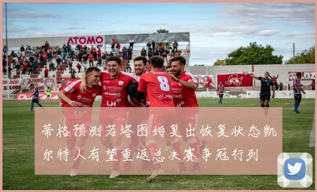蒂格预测若塔图姆复出恢复状态凯尔特人有望重返总决赛争冠行列
