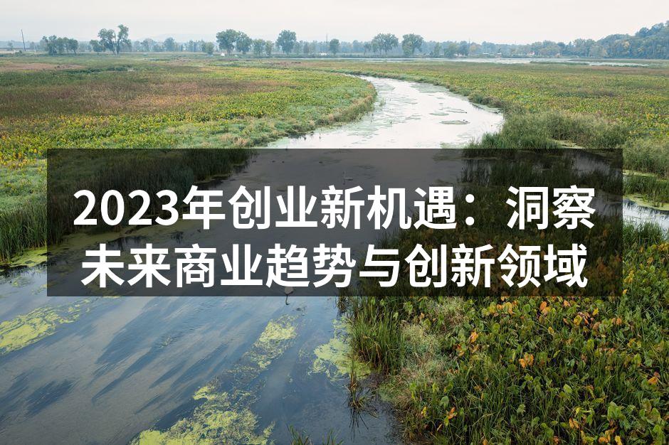 2023年创业新机遇：洞察未来商业趋势与创新领域