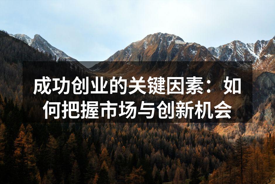 成功创业的关键因素：如何把握市场与创新机会
