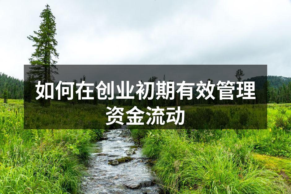 如何在创业初期有效管理资金流动