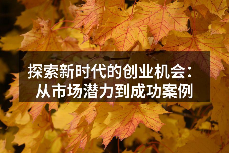 探索新时代的创业机会：从市场潜力到成功案例